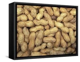 Peanuts in Shell, Washington, USA-Jamie & Judy Wild-Framed Stretched Canvas