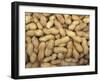 Peanuts in Shell, Washington, USA-Jamie & Judy Wild-Framed Photographic Print