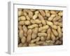 Peanuts in Shell, Washington, USA-Jamie & Judy Wild-Framed Photographic Print