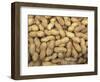 Peanuts in Shell, Washington, USA-Jamie & Judy Wild-Framed Photographic Print