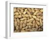 Peanuts in Shell, Washington, USA-Jamie & Judy Wild-Framed Photographic Print