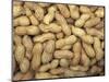 Peanuts in Shell, Washington, USA-Jamie & Judy Wild-Mounted Photographic Print