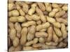 Peanuts in Shell, Washington, USA-Jamie & Judy Wild-Stretched Canvas