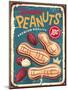 Peanuts Vintage Metal Sign Design-lukeruk-Mounted Photographic Print