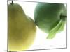 Pear and Apple-null-Mounted Photographic Print