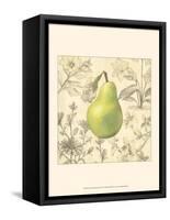 Pear and Botanicals-Megan Meagher-Framed Stretched Canvas