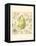 Pear and Botanicals-Megan Meagher-Framed Stretched Canvas