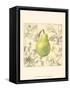 Pear and Botanicals-Megan Meagher-Framed Stretched Canvas
