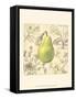 Pear and Botanicals-Megan Meagher-Framed Stretched Canvas