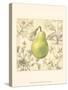 Pear and Botanicals-Megan Meagher-Stretched Canvas