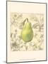 Pear and Botanicals-Megan Meagher-Mounted Art Print