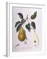 Pear Belle De Bruxelles Henry Louis Duhamel Du Monceau-null-Framed Giclee Print