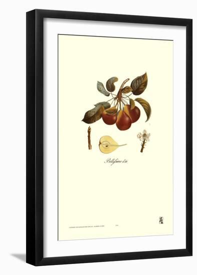Pear, Bellifsime d'Ete-Francois Langlois-Framed Art Print