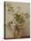 Pear Blossom, 1882-Henri Fantin-Latour-Stretched Canvas