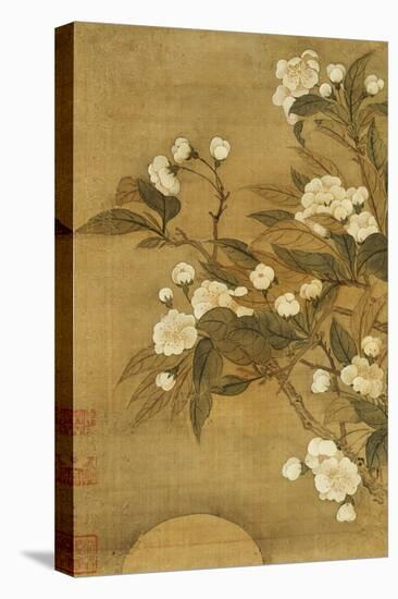 Pear Blossom and Moon-Yun Shouping-Stretched Canvas