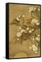 Pear Blossom and Moon-Yun Shouping-Framed Stretched Canvas