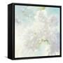 Pear Blossoms Bright-Julia Purinton-Framed Stretched Canvas