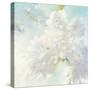 Pear Blossoms Bright-Julia Purinton-Stretched Canvas