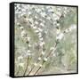 Pear Blossoms II-Herb Dickinson-Framed Stretched Canvas