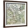 Pear Blossoms II-Herb Dickinson-Framed Photographic Print