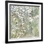 Pear Blossoms II-Herb Dickinson-Framed Photographic Print