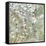 Pear Blossoms II-Herb Dickinson-Framed Stretched Canvas