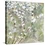 Pear Blossoms II-Herb Dickinson-Stretched Canvas
