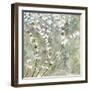 Pear Blossoms II-Herb Dickinson-Framed Photographic Print