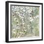 Pear Blossoms II-Herb Dickinson-Framed Photographic Print