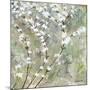 Pear Blossoms II-Herb Dickinson-Mounted Photographic Print