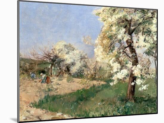 Pear Blossoms, Villiers-De-Bel-Childe Hassam-Mounted Giclee Print