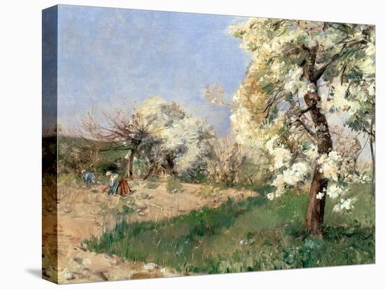 Pear Blossoms, Villiers-De-Bel-Childe Hassam-Stretched Canvas