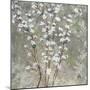Pear Blossoms-Herb Dickinson-Mounted Photographic Print