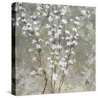 Pear Blossoms-Herb Dickinson-Stretched Canvas