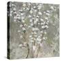 Pear Blossoms-Herb Dickinson-Stretched Canvas