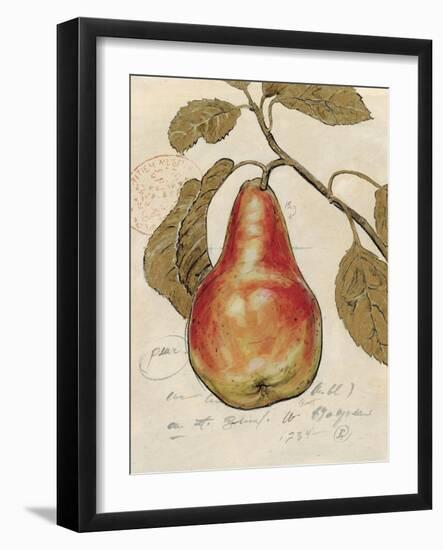 Pear Etching-Chad Barrett-Framed Art Print