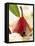 Pear in Red Wine with Cinnamon in Madeira Cream-null-Framed Stretched Canvas