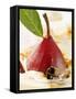 Pear in Red Wine with Cinnamon in Madeira Cream-null-Framed Stretched Canvas
