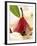 Pear in Red Wine with Cinnamon in Madeira Cream-null-Framed Photographic Print