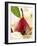 Pear in Red Wine with Cinnamon in Madeira Cream-null-Framed Photographic Print