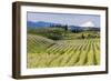 Pear Orchards Blooms with Mount Adams, Oregon, USA-Chuck Haney-Framed Photographic Print