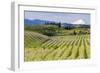 Pear Orchards Blooms with Mount Adams, Oregon, USA-Chuck Haney-Framed Photographic Print