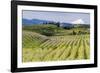 Pear Orchards Blooms with Mount Adams, Oregon, USA-Chuck Haney-Framed Photographic Print