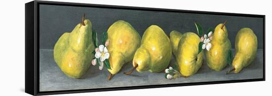 Pear Panel-Unknown Galley-Framed Stretched Canvas