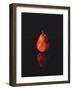 Pear Reflection-Monika Burkhart-Framed Photographic Print