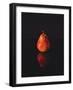 Pear Reflection-Monika Burkhart-Framed Photographic Print