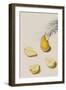 Pear Segments-Irene Suchocki-Framed Giclee Print