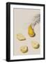 Pear Segments-Irene Suchocki-Framed Giclee Print