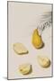 Pear Segments-Irene Suchocki-Mounted Giclee Print