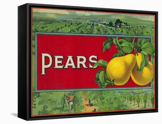 Pear Stock Crate Label-Lantern Press-Framed Stretched Canvas